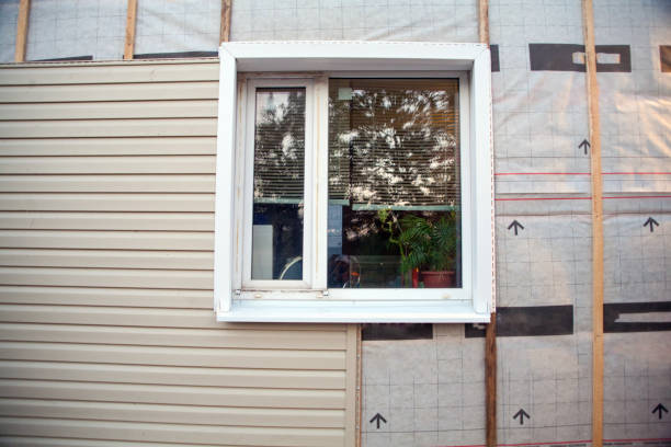 Custom Trim and Detailing for Siding in Waverly, MN